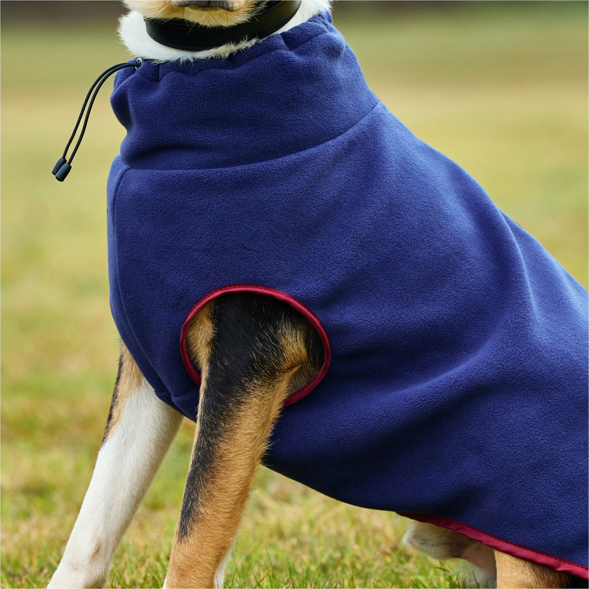 2025 Weatherbeeta Comfitec Fleece Zip Dog Coat 1003457 - Navy